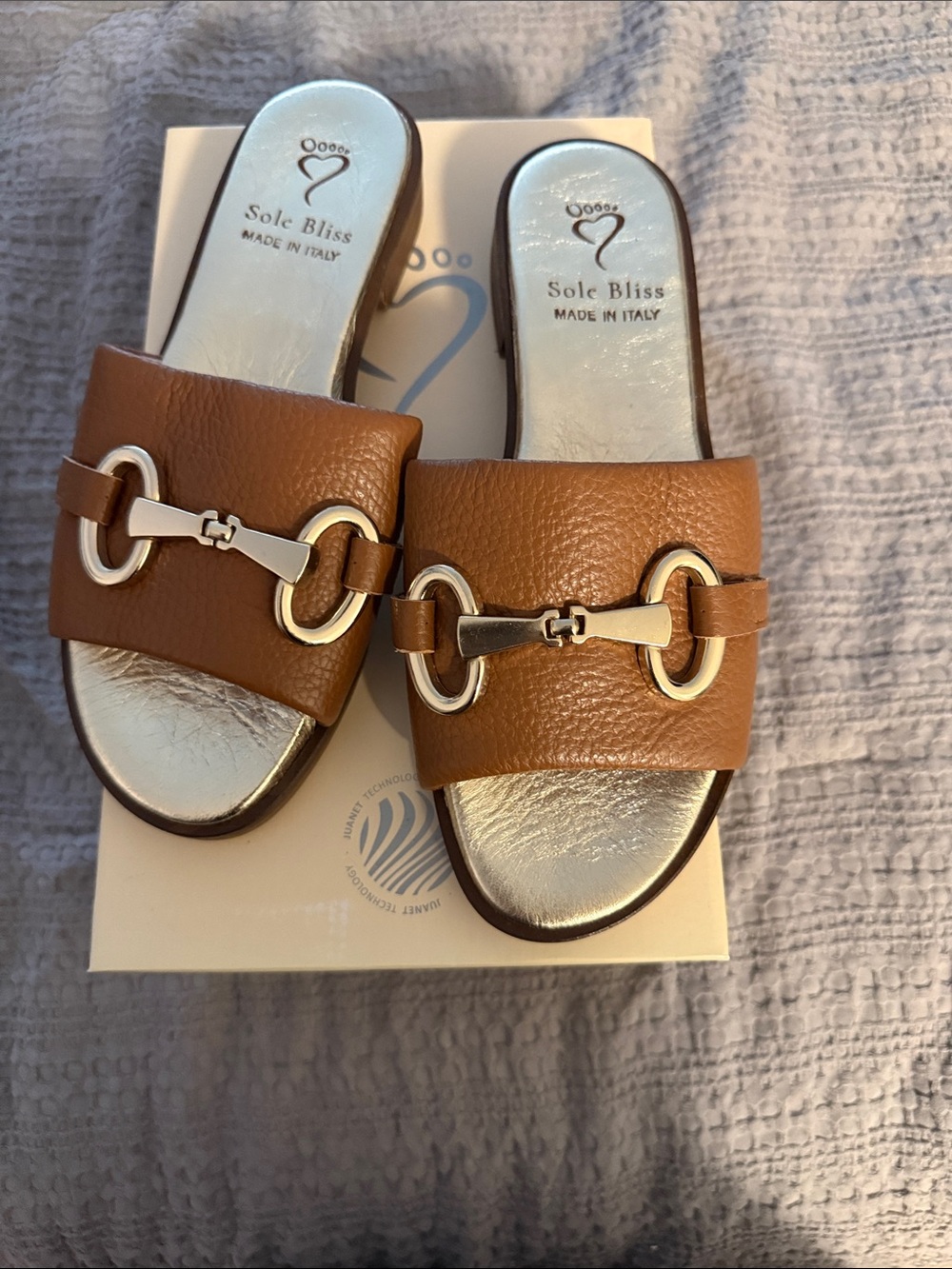 Sole Bliss Women's Brown Leather Slide Mules with Gold Link Detail